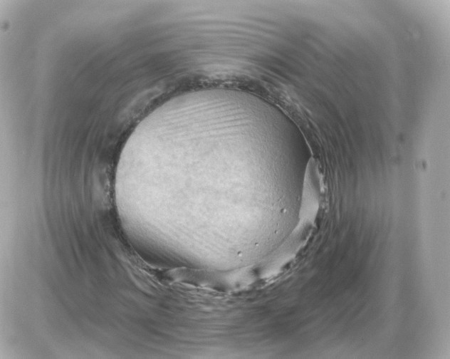 X0000087590868200705112301