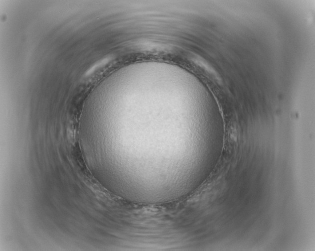 X0000087590869200705112301