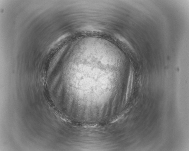 X0000087590870200705112301