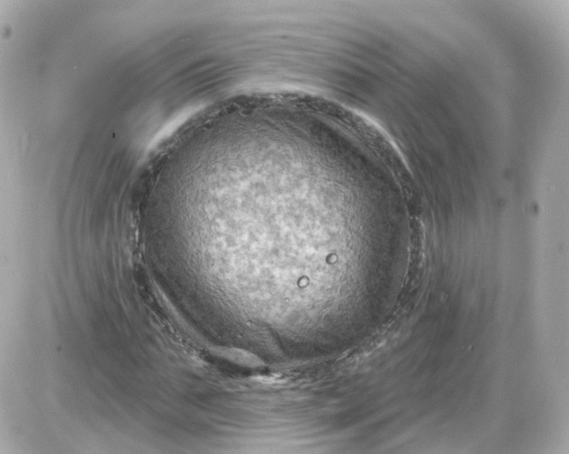 X0000087590871200705112301