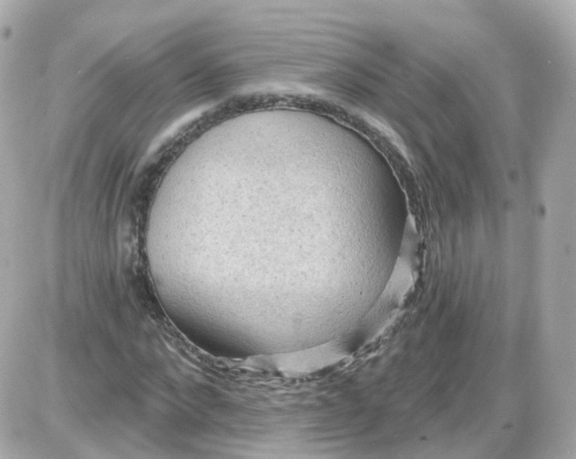 X0000087590872200705112300