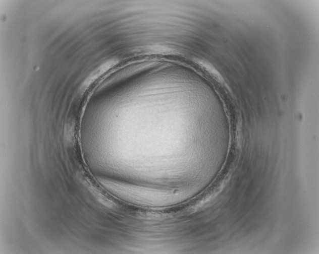 X0000087590873200705112300