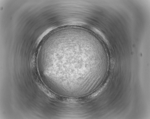 X0000087590875200705112300