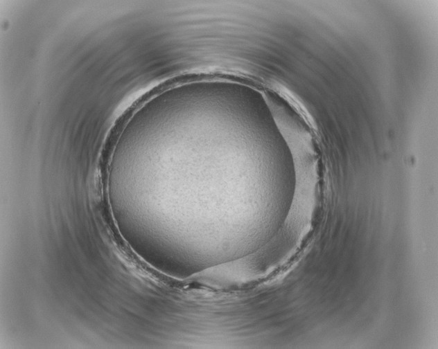 X0000087590876200705112300