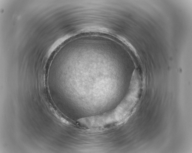 X0000087590877200705112300