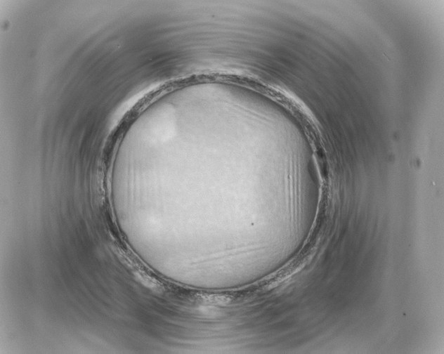 X0000087590878200705112300