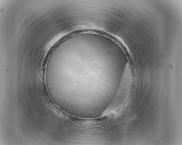 X0000087590879200705112300