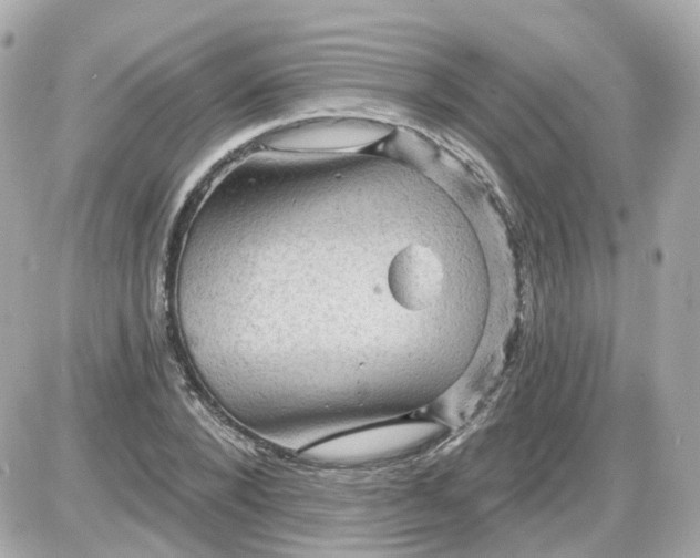 X0000087590880200705112300