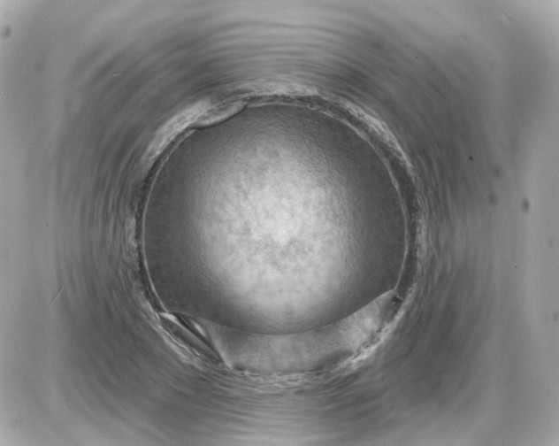 X0000087590881200705112300