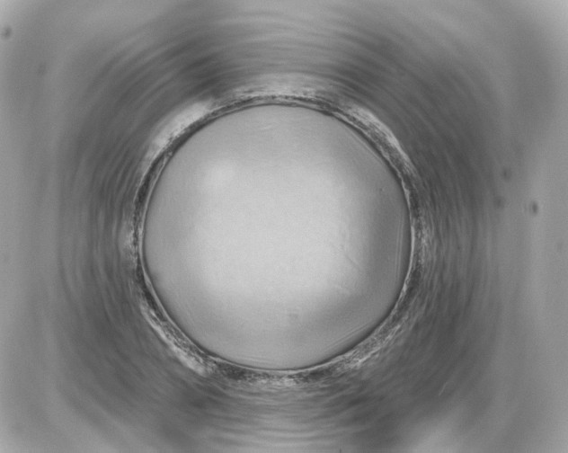 X0000087590882200705112300