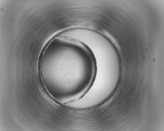 X0000087590884200705112300