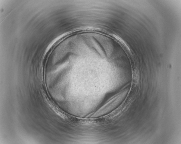 X0000087590886200705112300