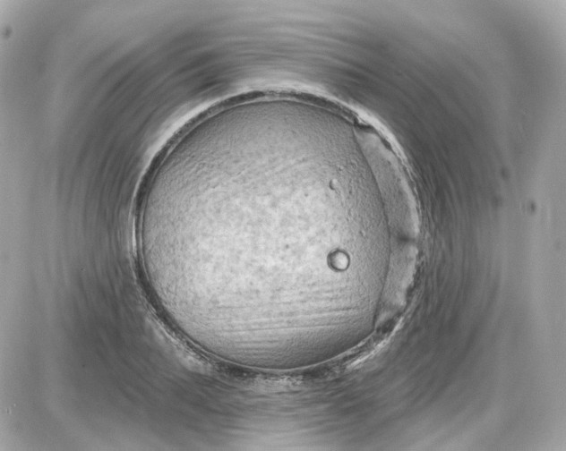 X0000087590887200705112300