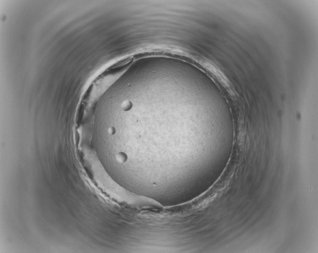 X0000087590888200705112300