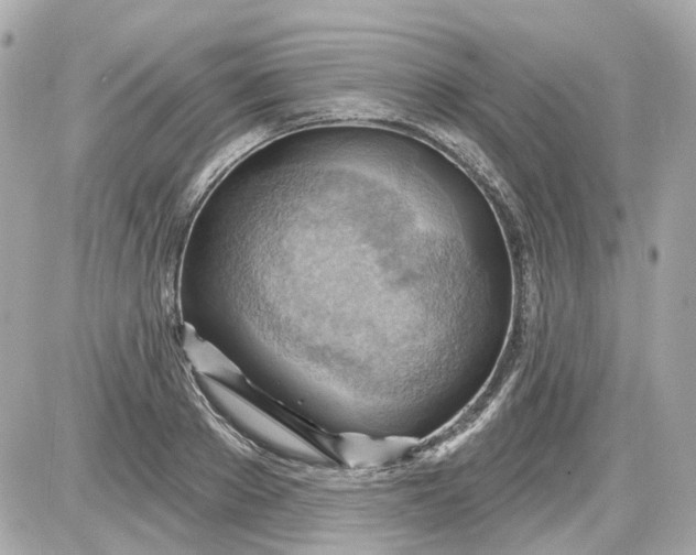 X0000087590889200705112300