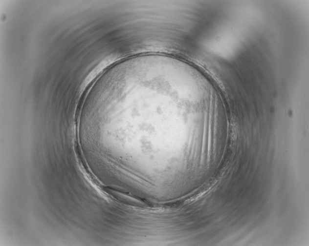 X0000087590890200705112300