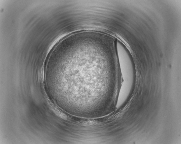 X0000087590891200705112300