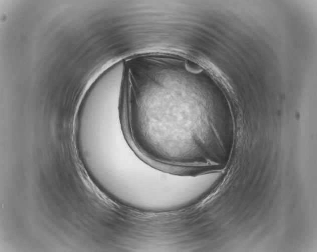 X0000087590892200705112300