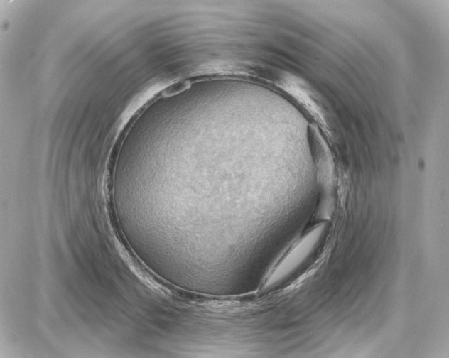 X0000087590893200705112300