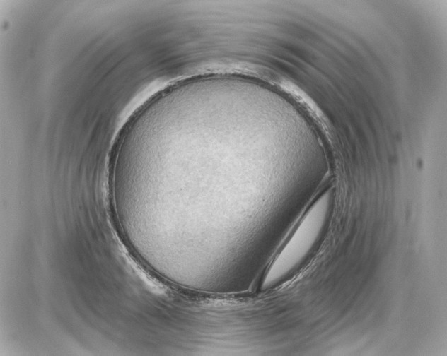 X0000087590894200705112300