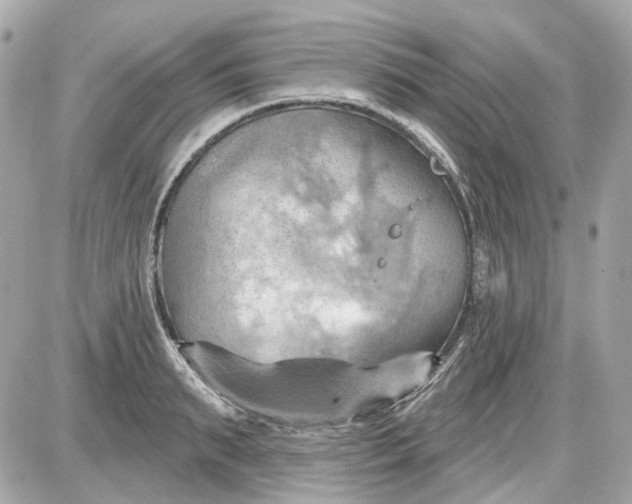 X0000087590895200705112300