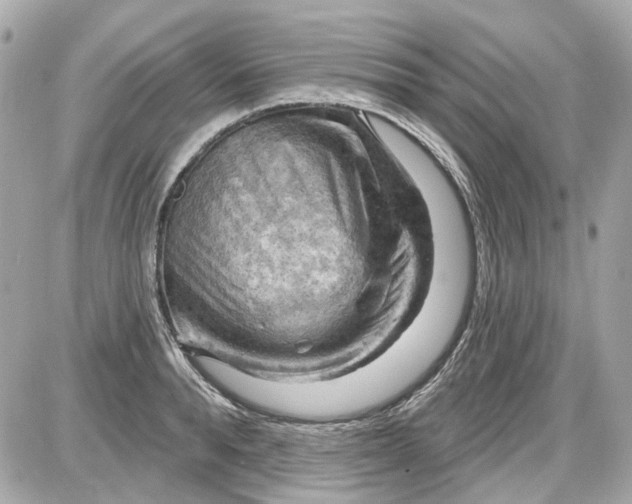 X0000087590896200705112300