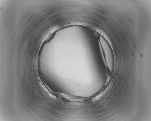 X0000087590898200705112300