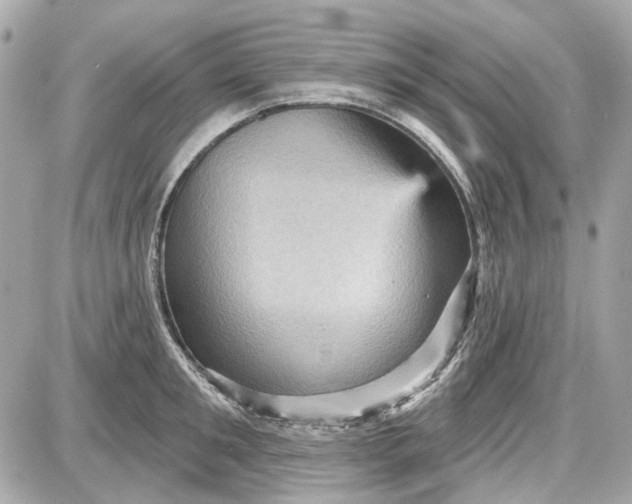 X0000087590901200705112300