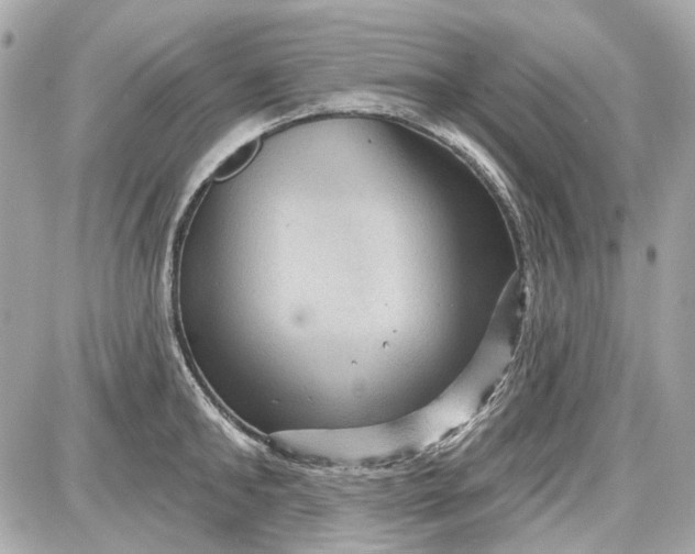 X0000087590902200705112300