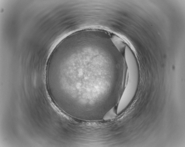 X0000087590903200705112300