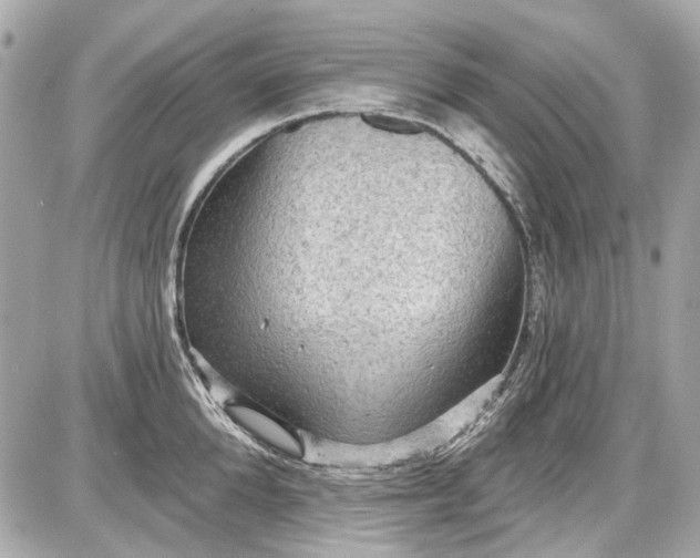 X0000087590904200705112300