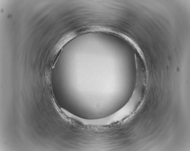 X0000087590905200705112300