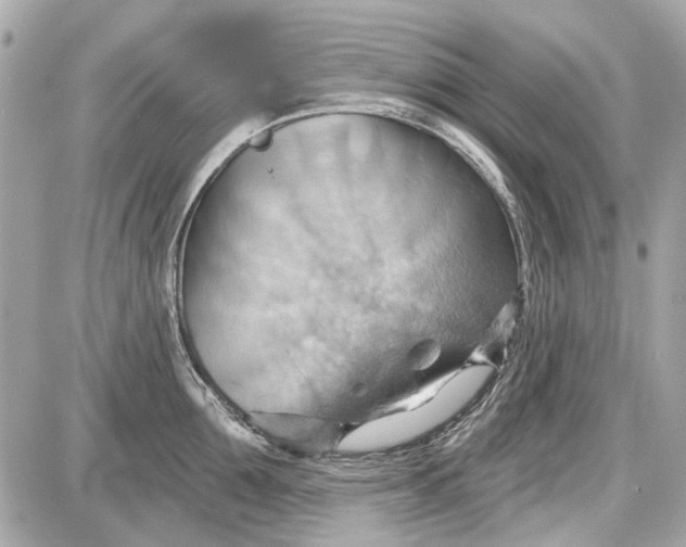 X0000087590907200705112300