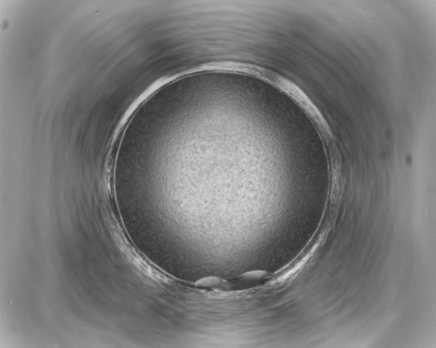 X0000087590908200705112300