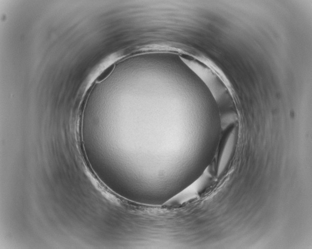 X0000087590909200705112300