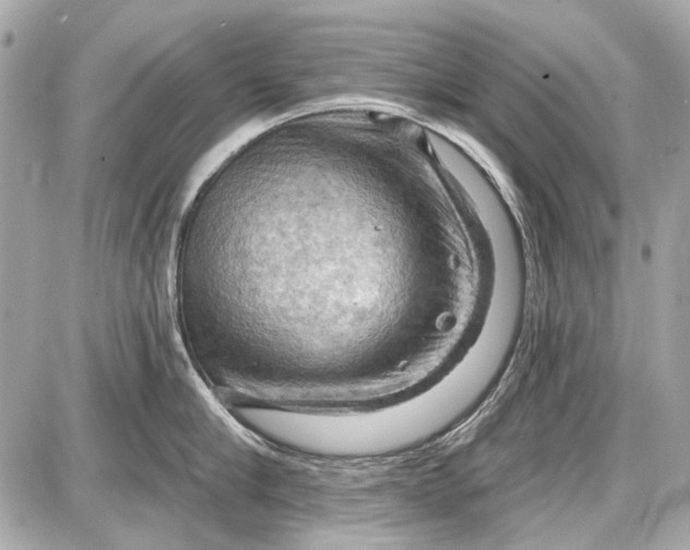 X0000087590910200705112300