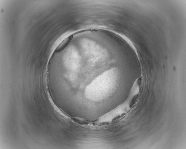 X0000087590911200705112300