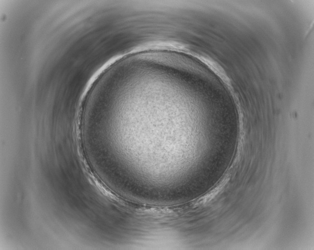 X0000087590912200705112300