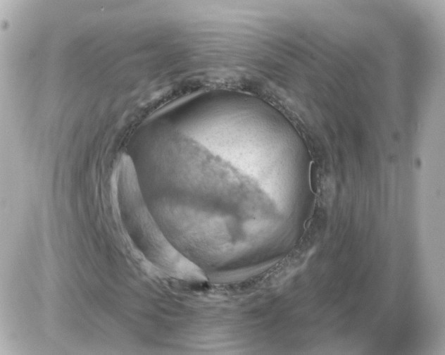 X0000087590913200705112259