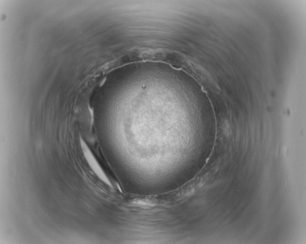 X0000087590914200705112259