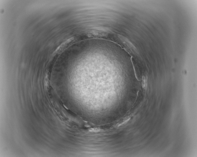 X0000087590915200705112259