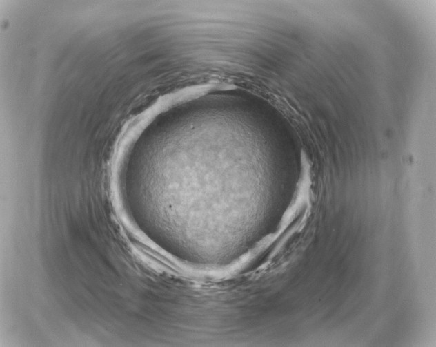 X0000087590916200705112259