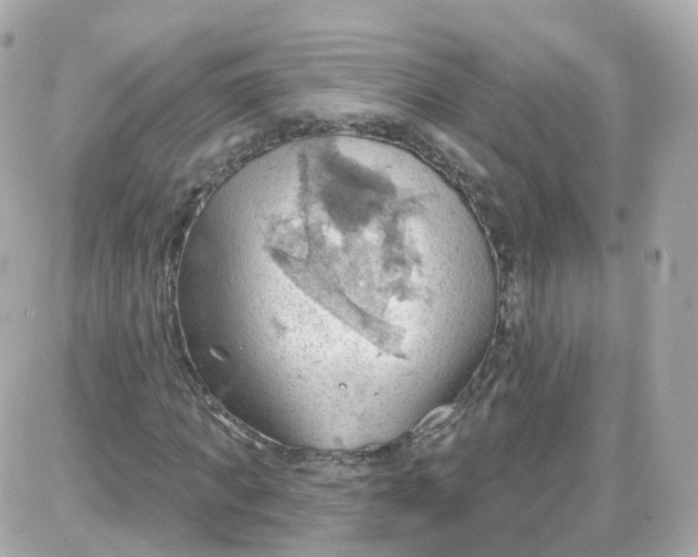 X0000087590917200705112259