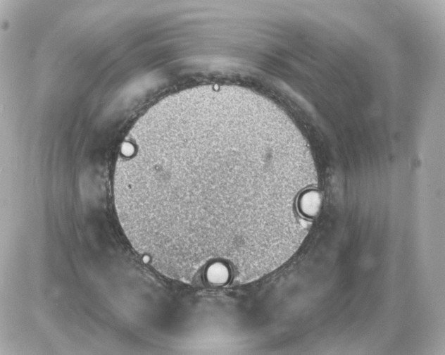 X0000087590918200705112259