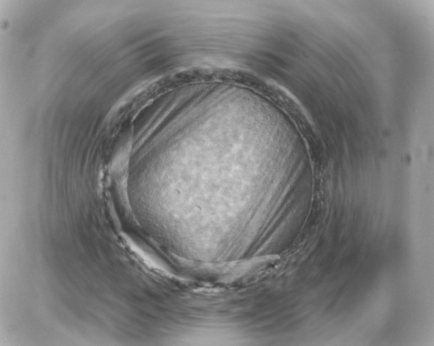 X0000087590919200705112259