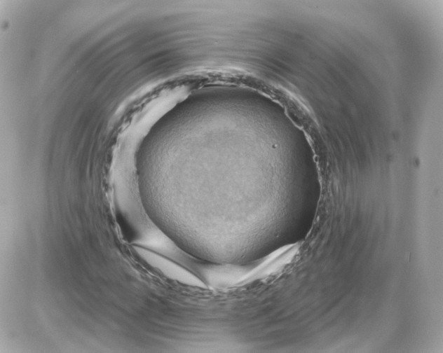 X0000087590920200705112259