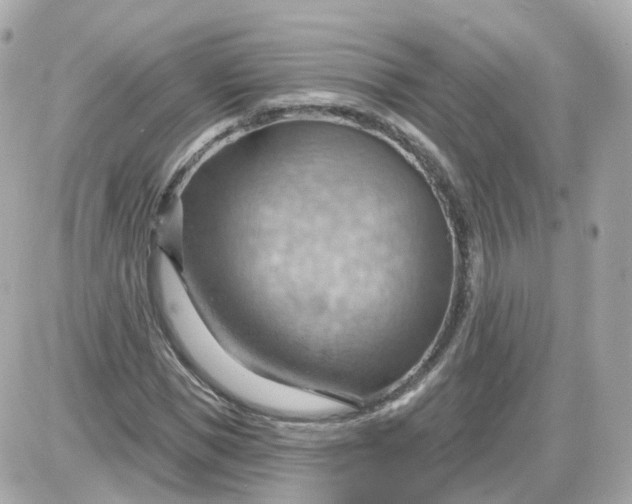 X0000087590921200705112259