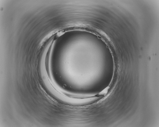 X0000087590922200705112259