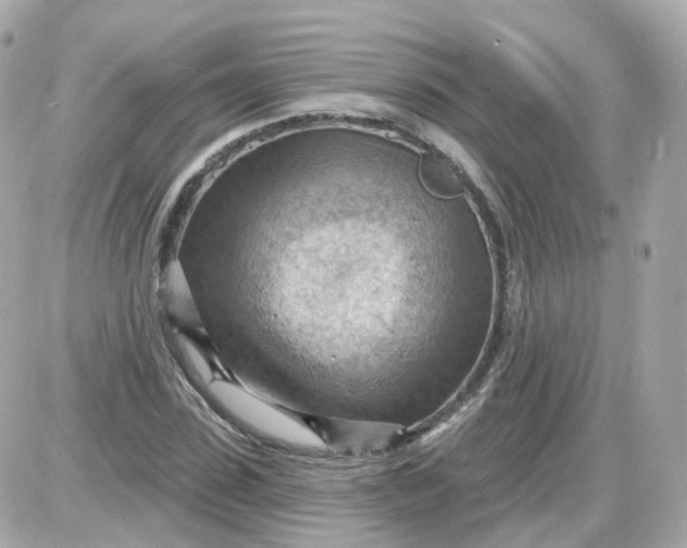 X0000087590923200705112259