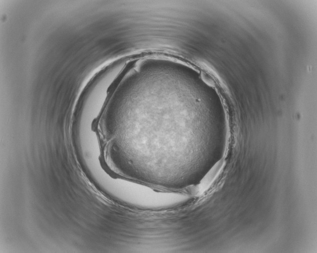 X0000087590924200705112259